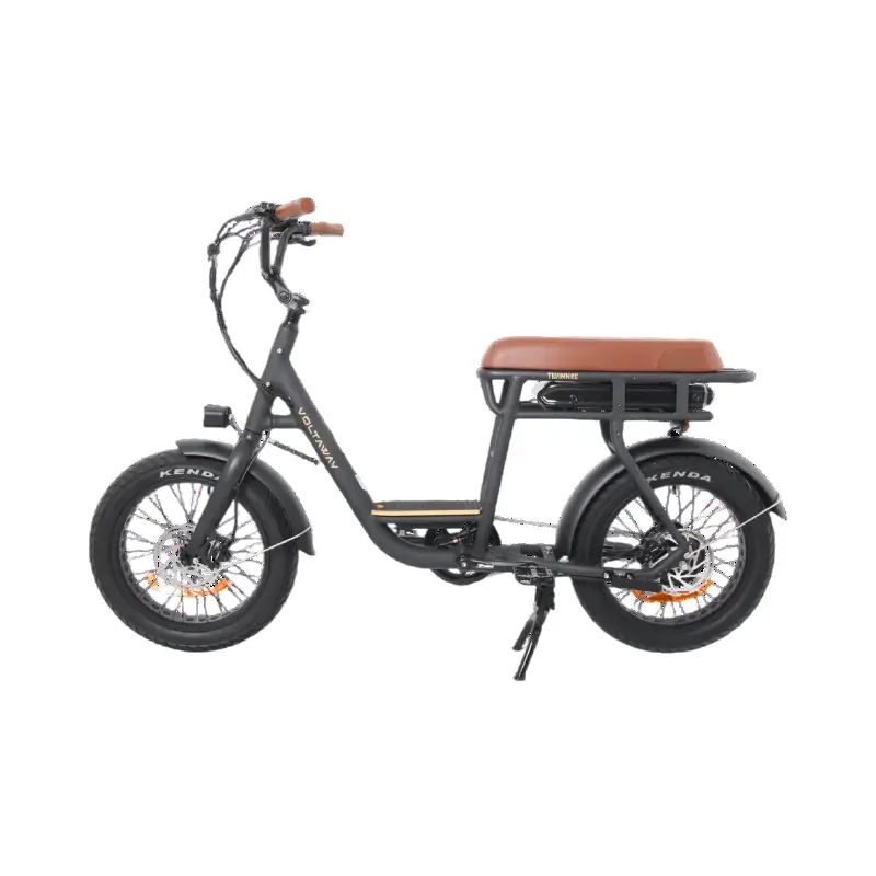 volta bicicleta electrica twinnee (sem bateria)