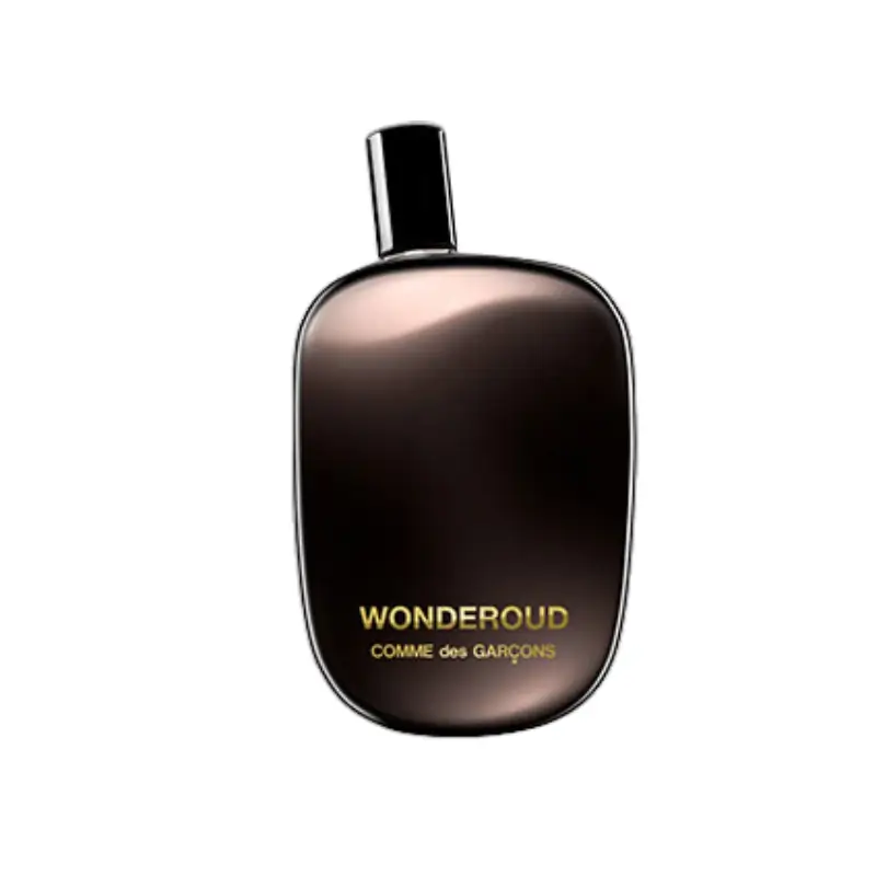comme des garçons perfume wonderound edp v100