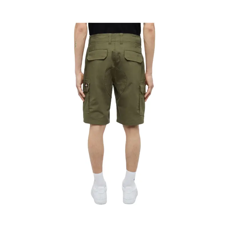 dickies calções millerville