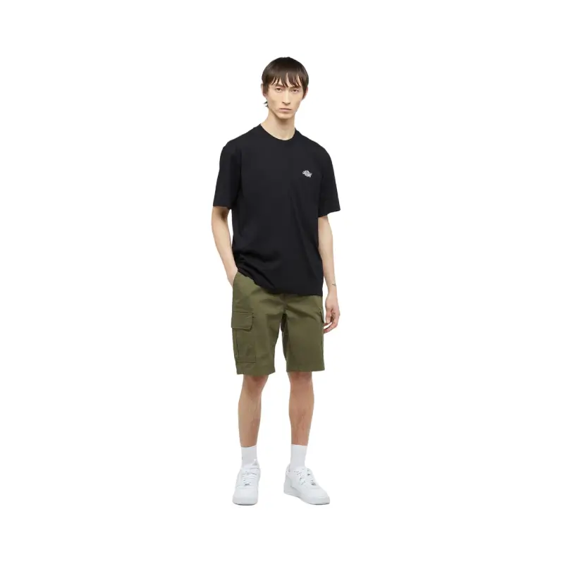 dickies calções millerville