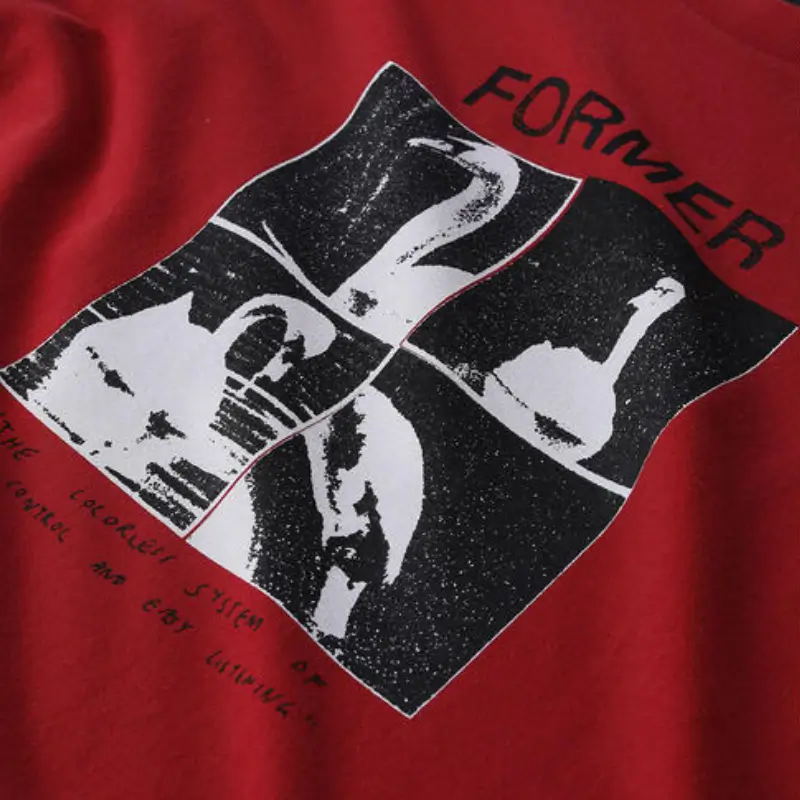 former t-shirt cygnet