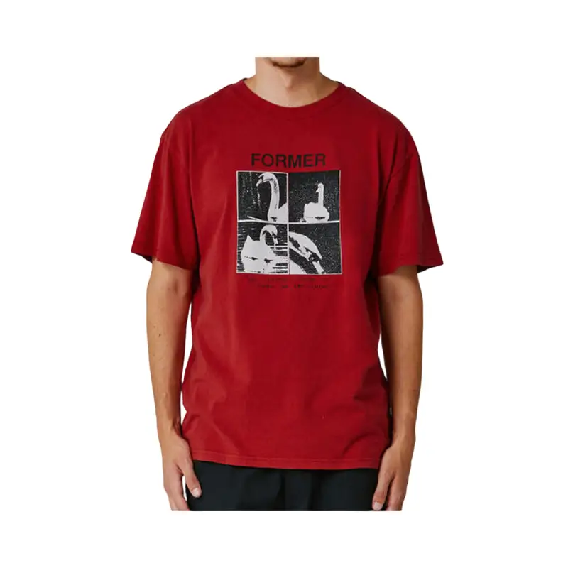 former t-shirt cygnet