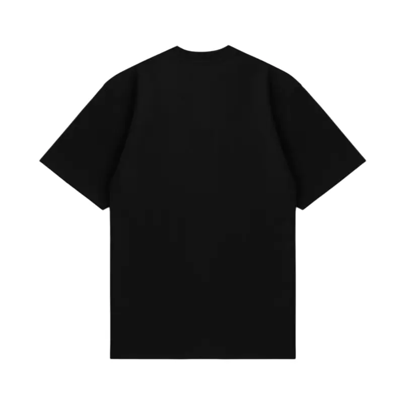 carhartt wip t-shirt valley