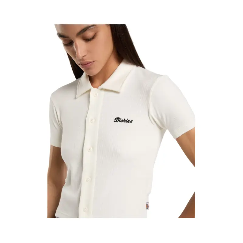 dickies t-shirt tallasse bt