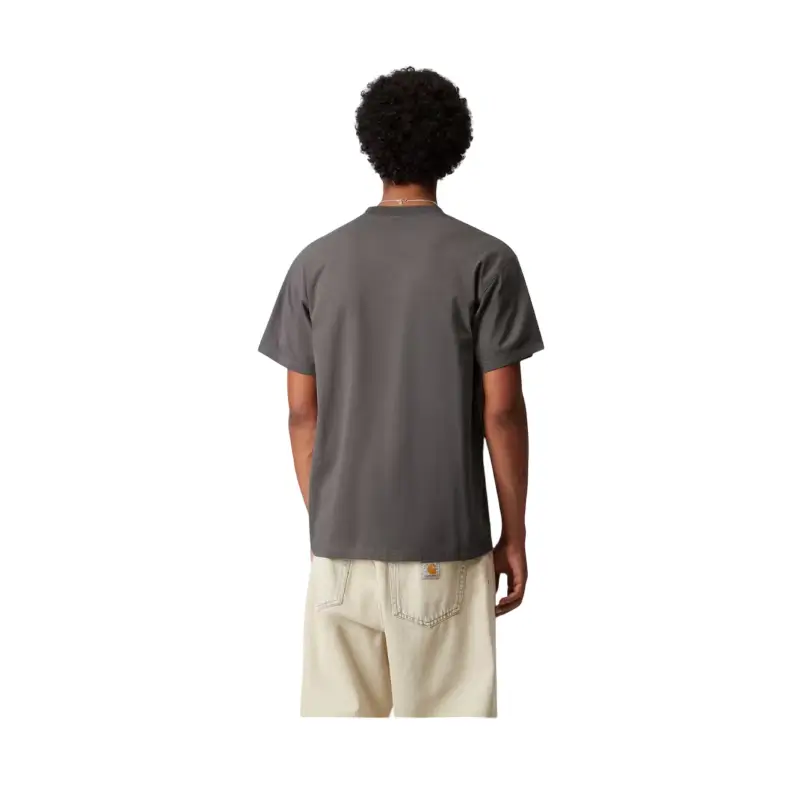 carhartt wip t-shirt american script