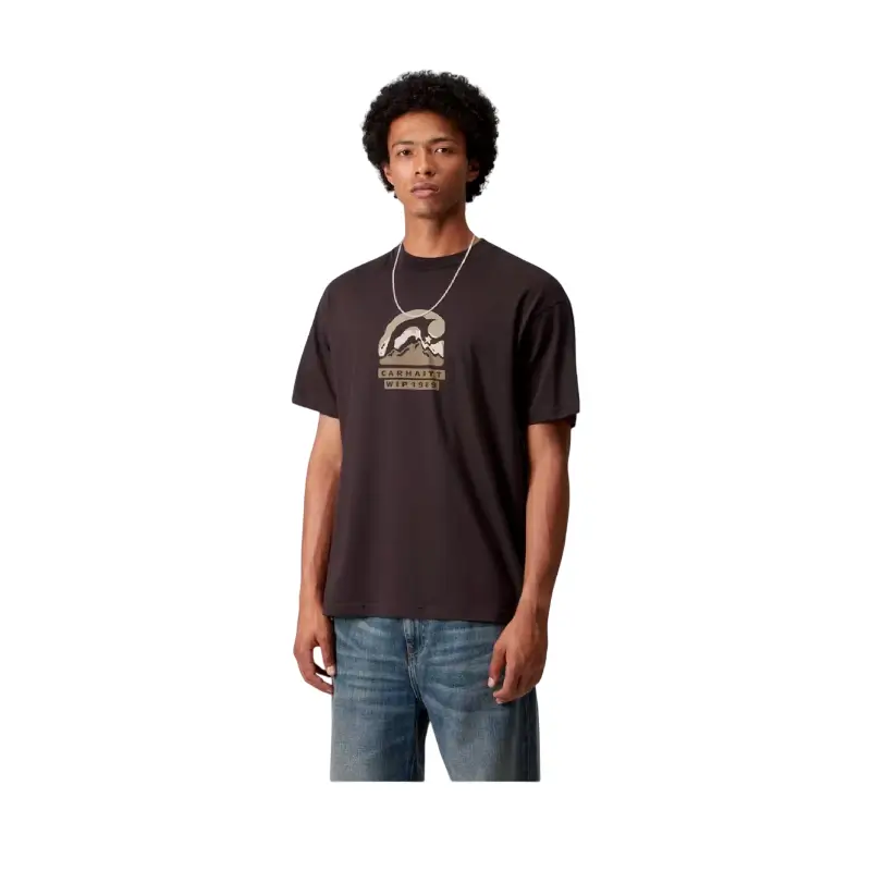 carhartt wip tshirt rising helix