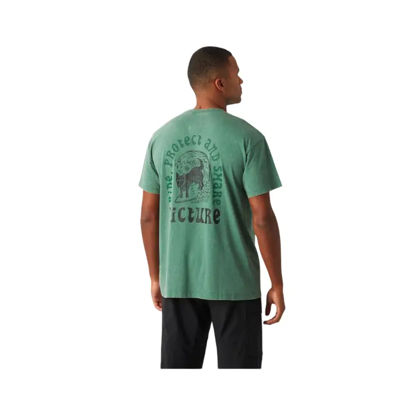 picture t-shirt picturide