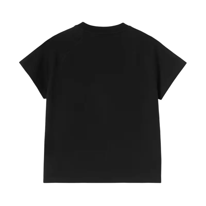 carhartt wip t-shirt ray