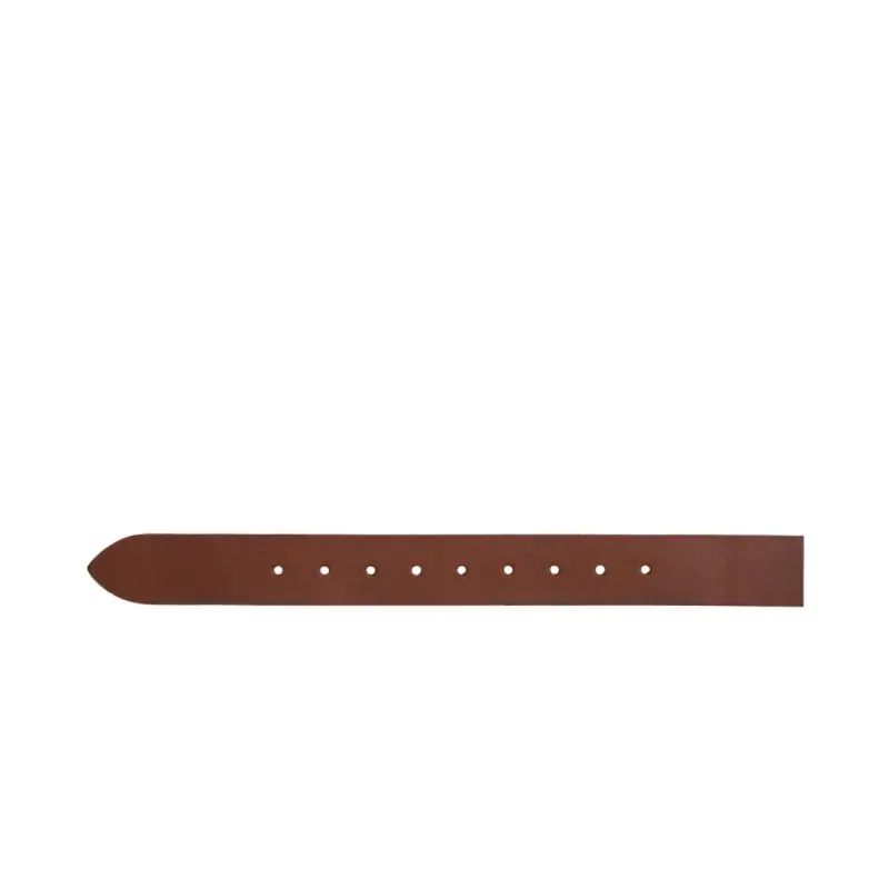 carhartt cinto ryan