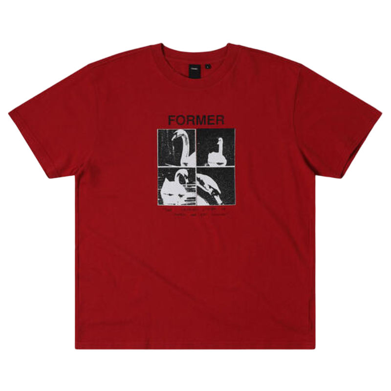 former t-shirt cygnet