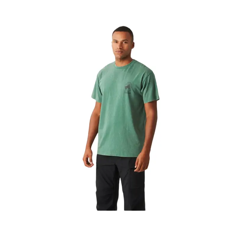 picture t-shirt picturide