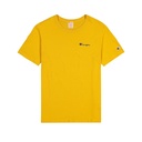 champion tshirt small script logo