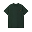 carhartt wip t-shirt american script