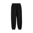 carhartt wip calças american script