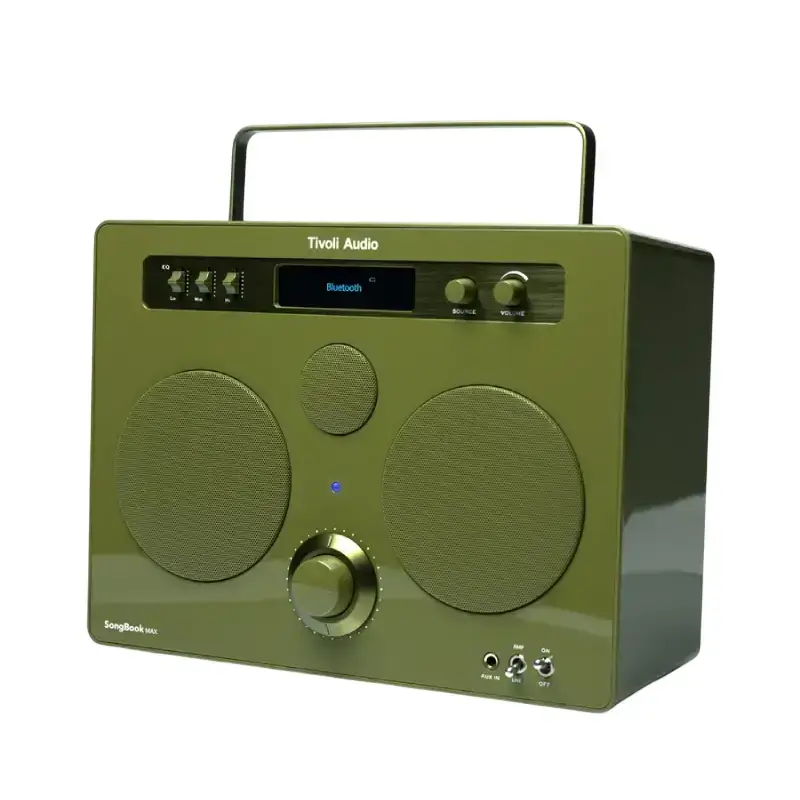 Coluna SongBook MAX verde, com pega integrada, vista em perspetiva
