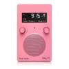 Tivoli Audio PAL+ BT Rosa — imagem 1